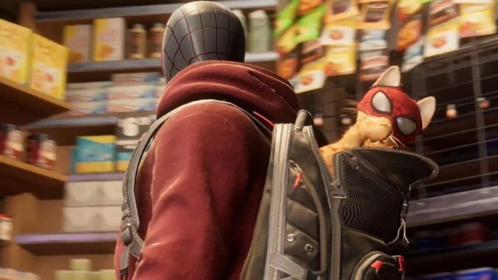 Spider-Man con un gato Budega en su mochila