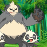 Pancham and Pangoro in the Anime