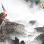 pokemon go mega houndoom raid boss promo image