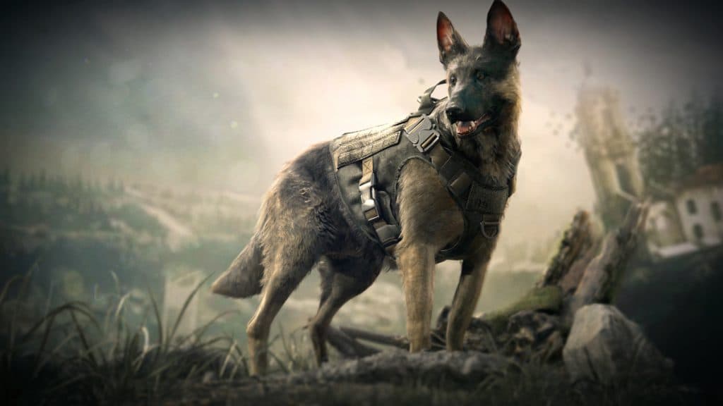 Perro Riley de Call of Duty Ghosts