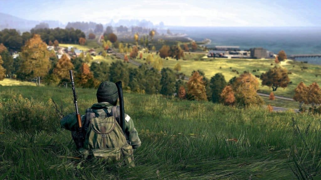 Captura de pantalla de un personaje de DayZ en un campo de hierba.