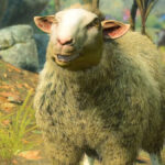 Sheep in Baldur