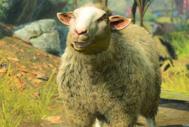 Sheep in Baldur