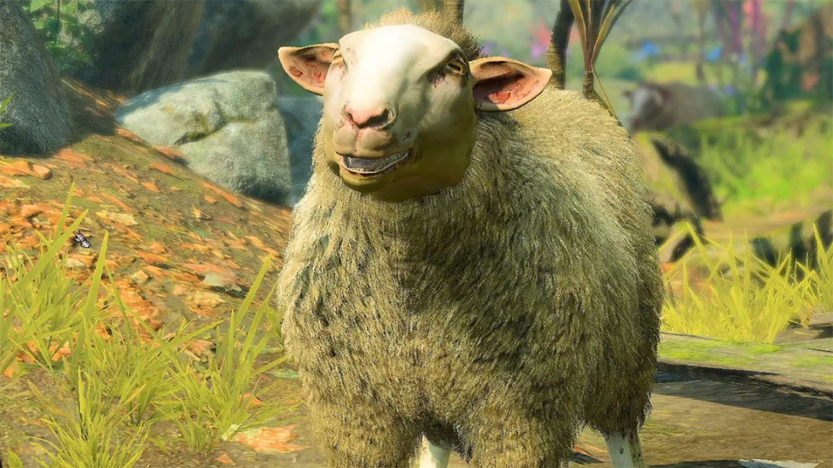 Sheep in Baldur