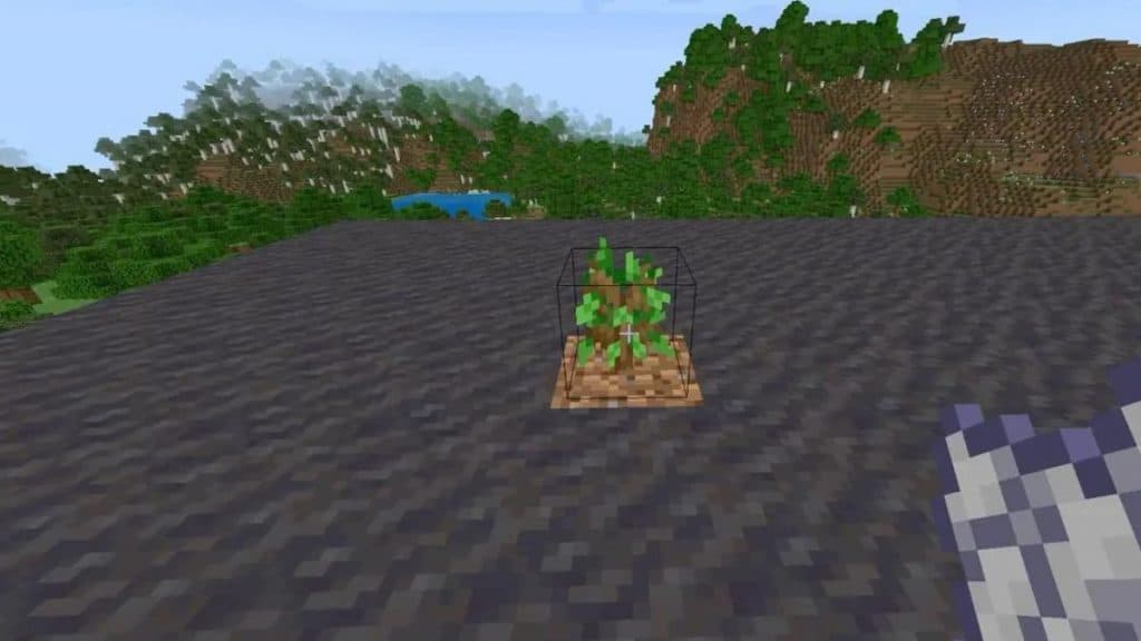 Una muestra en Minecraft