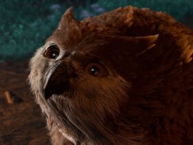 Owlbear cub