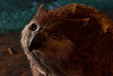 Owlbear cub