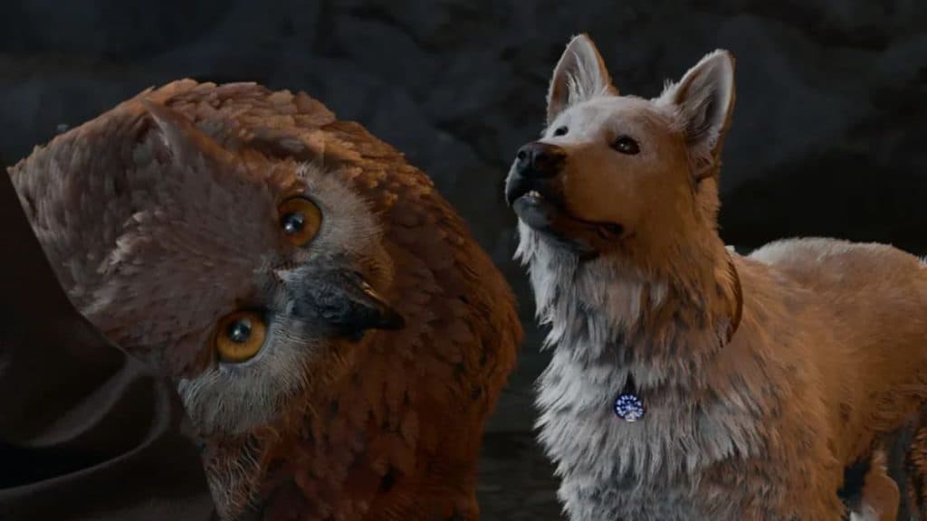 Baldur's Gate 3 Owlbear y Scratch