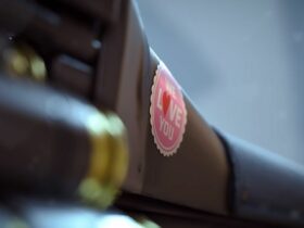 the finals valentines day sticker on gun