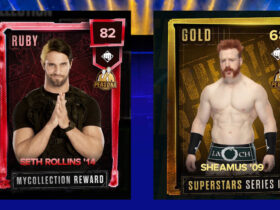 Persona Cards in WWE 2K24