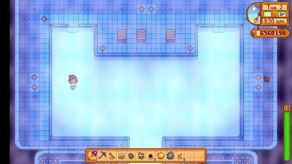 Baño en Stardew Valley.