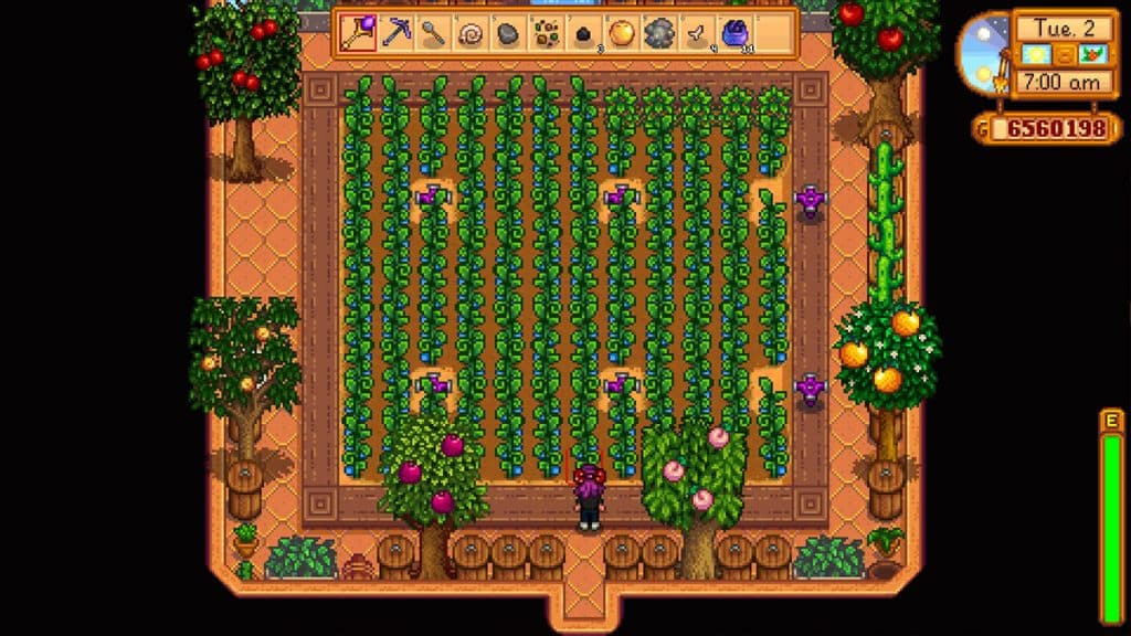 Cultivos de invernadero de Stardew Valley