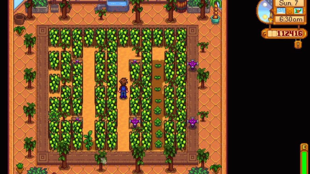 Diseño de invernadero para cultivos en espaldera en Stardew Valley