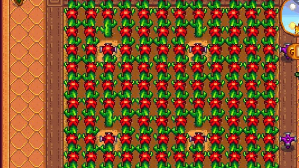 Fruta de cactus en Stardew Valley