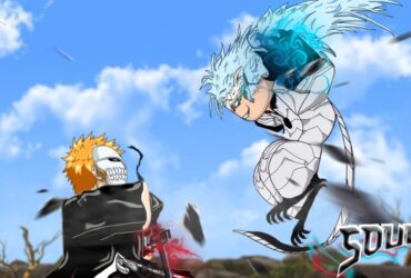 Two Bleach Soulz characters.