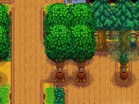 Stardew Valley player with maple tree farm for maple syrup generation