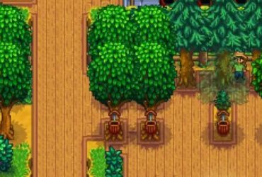 Stardew Valley player with maple tree farm for maple syrup generation